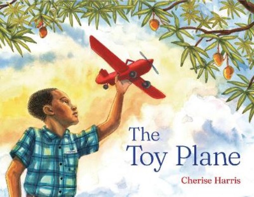 Picture of Toy Plane