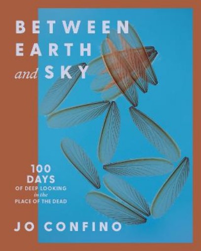 Picture of Between Earth and Sky