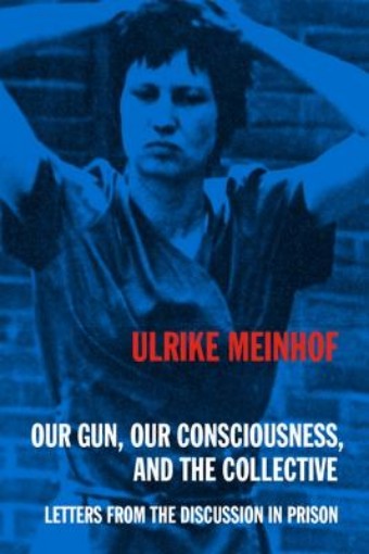 Picture of Our Gun, Our Consciousness, and the Collective