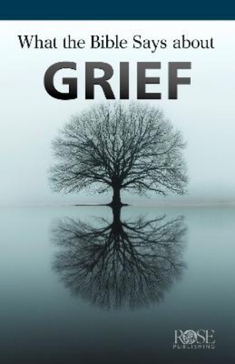 Picture of What the Bible Says About Grief