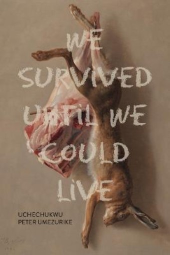 Picture of We Survived Until We Could Live