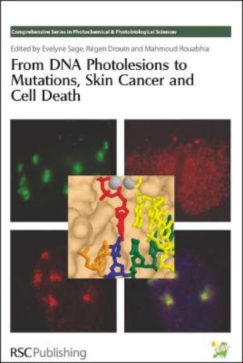 Picture of From DNA Photolesions to Mutations, Skin Cancer and Cell Death
