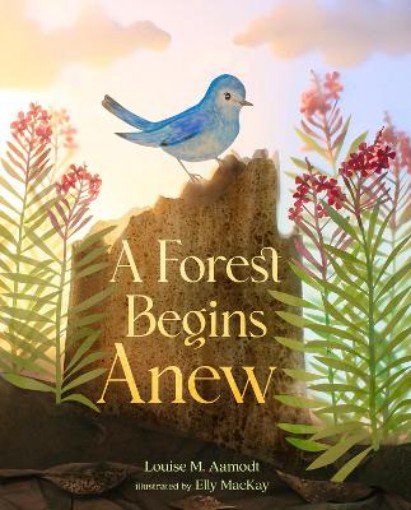 Picture of Forest Begins Anew