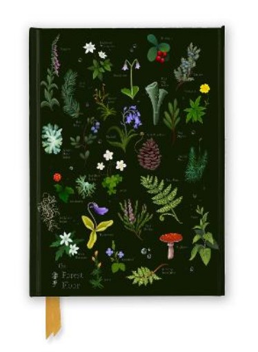 Picture of Anna Stead: The Forest Floor (Foiled Journal)