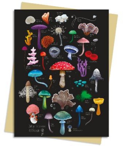 Picture of Anna Stead: Mushrooms & Fungi Greeting Card Pack