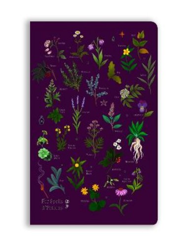 Picture of Anna Stead: For Spells & Potions (Soft Touch Journal)