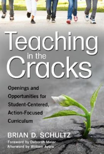 Picture of Teaching in the Cracks