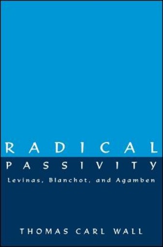 Picture of Radical Passivity