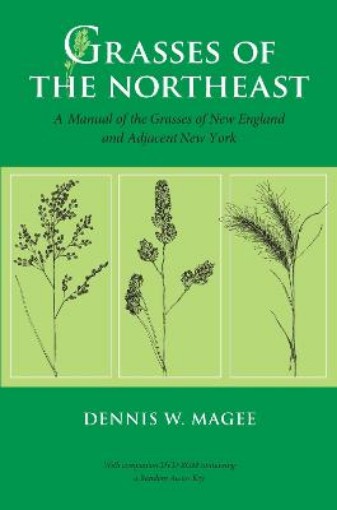 Picture of Grasses of the Northeast