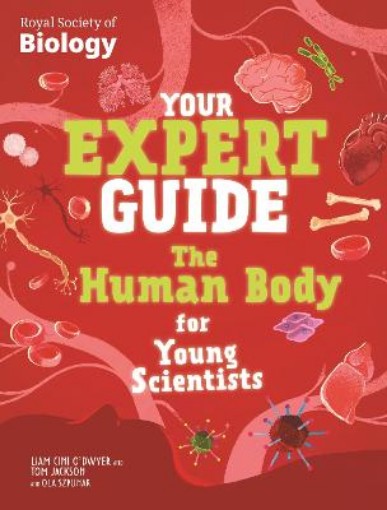 Picture of Your Expert Guide: The Human Body for Young Scientists