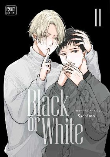 Picture of Black or White, Vol. 11