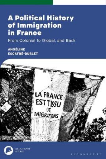 Picture of Political History of Immigration in France