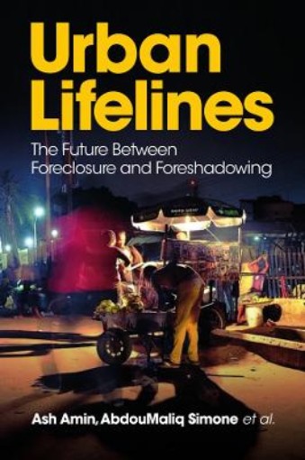 Picture of Urban Lifelines