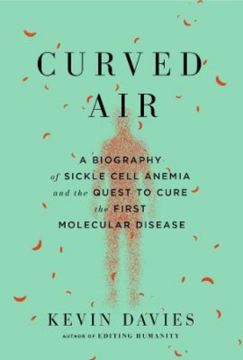 Picture of Curved Air