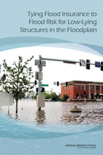 Picture of Tying Flood Insurance to Flood Risk for Low-Lying Structures in the Floodplain