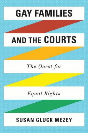 Picture of Gay Families and the Courts