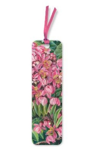 Picture of Kew Gardens: Flowers of a Cassia Bookmarks (pack of 10)