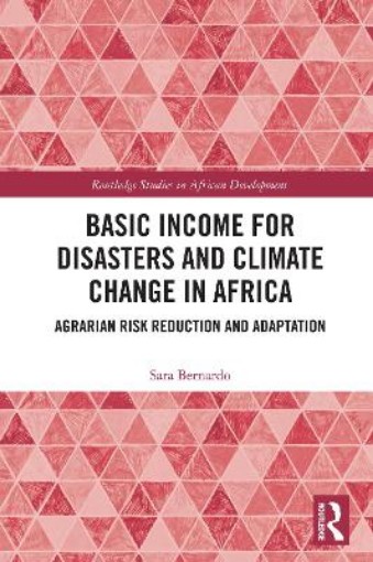 Picture of Basic Income for Disasters and Climate Change in Africa