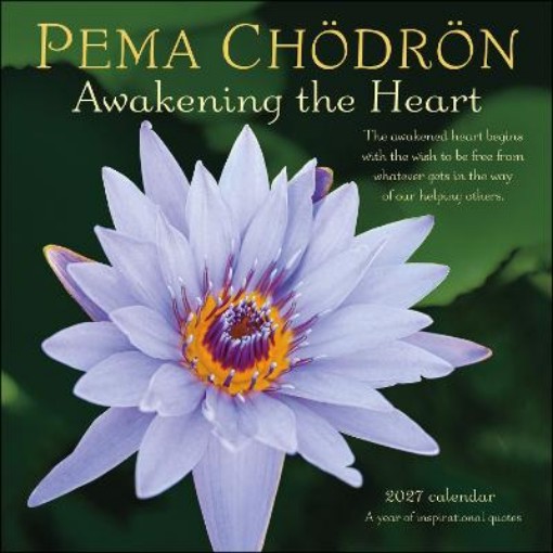 Picture of Pema Chodron 2027 Wall Calendar