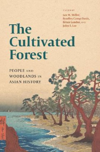 Picture of Cultivated Forest