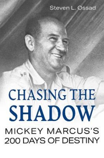 Picture of Chasing the Shadow