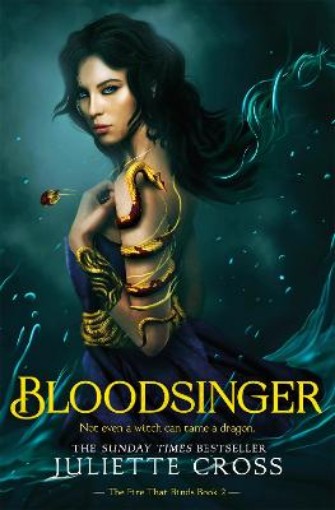 Picture of Bloodsinger