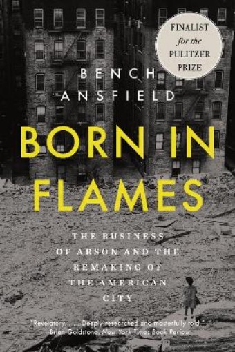 Picture of Born in Flames