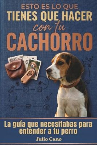 Picture of Esto es lo que tienes que hacer con tu cachorro