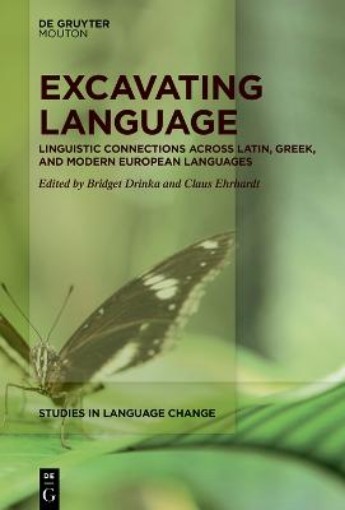 Picture of Excavating Language