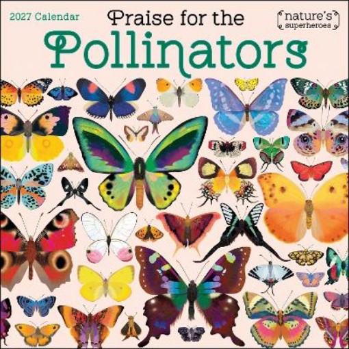 Picture of Praise for the Pollinators 2027 Wall Calendar