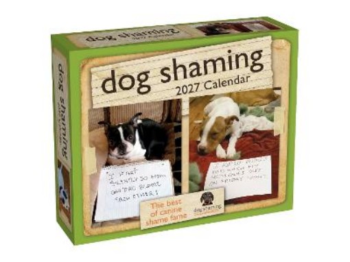 Picture of Dog Shaming 2027 Day-to-Day Calendar