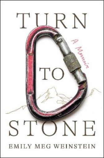 Picture of Turn to Stone