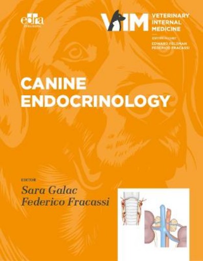Picture of Canine Endocrinology