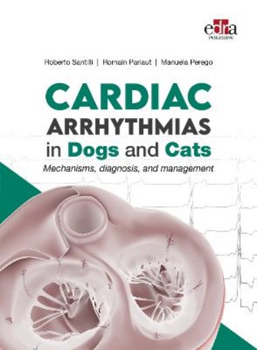 Picture of Cardiac Arrhythmias in Dogs and Cats